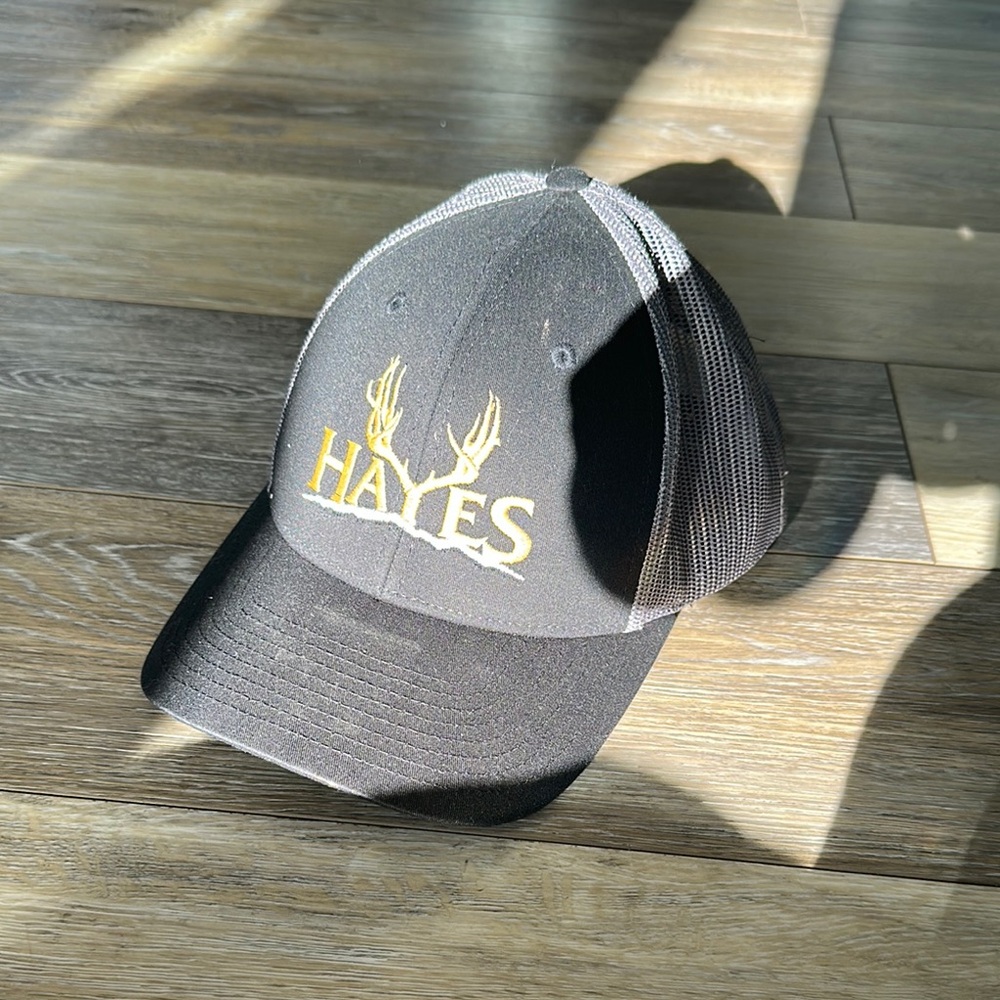 Hayes ball cap